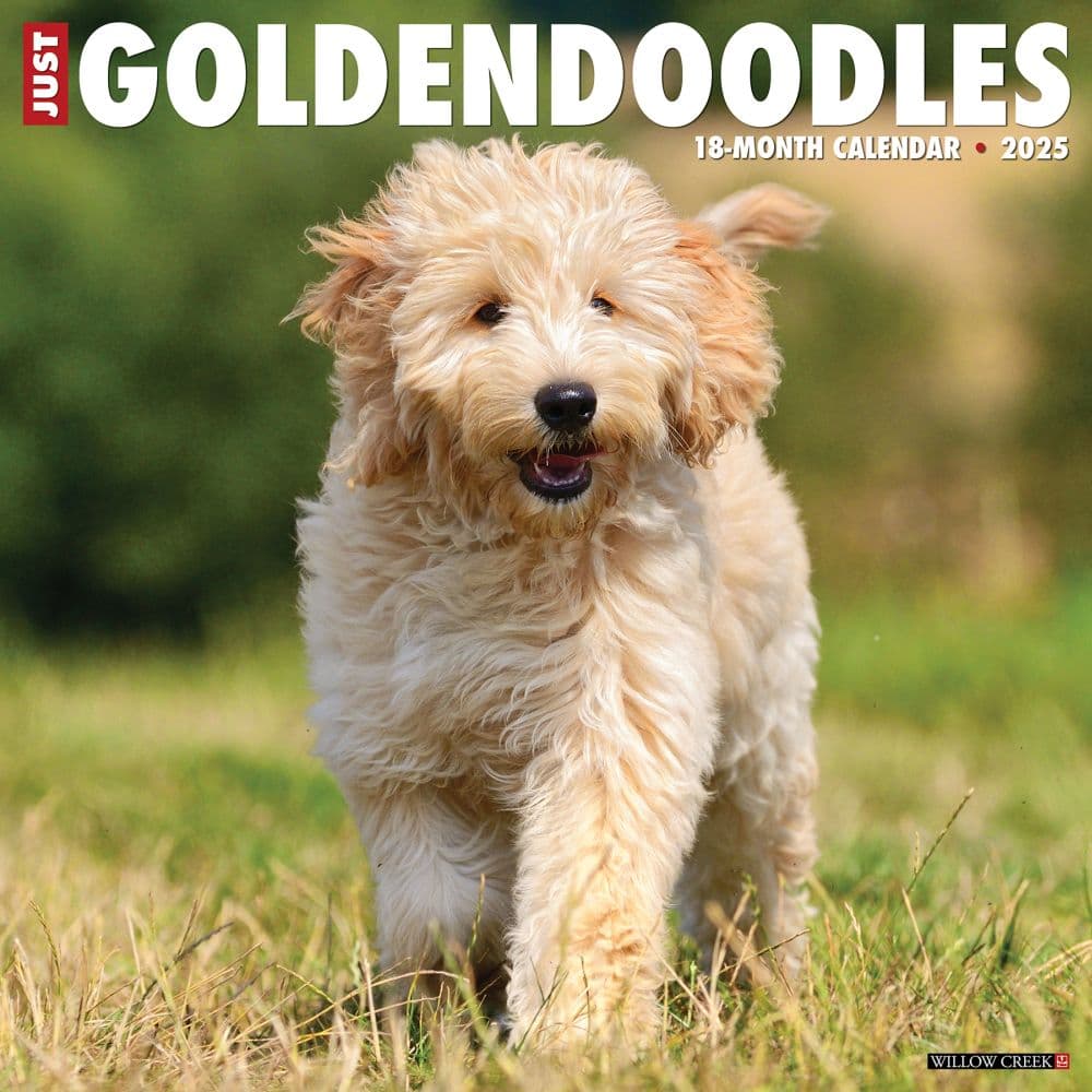 image Just Goldendoodles 2025 Wall Calendar Main Image