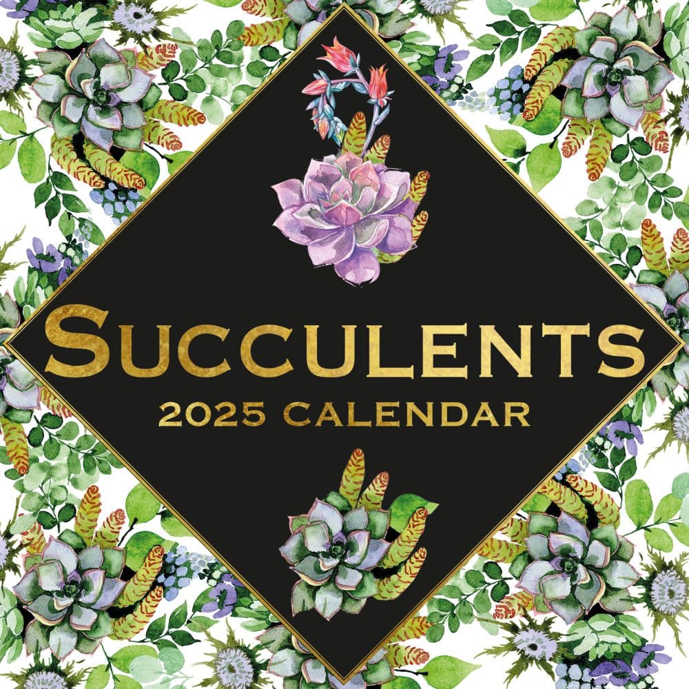 Succulents 2025 Wall Calendar Main Product Image width=&quot;1000&quot; height=&quot;1000&quot;