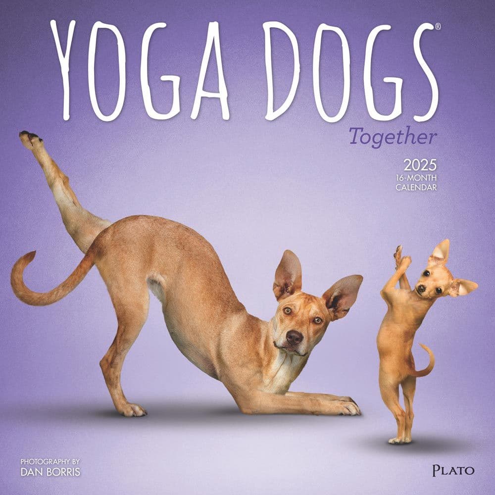 image Yoga Dogs Together by Plato 2025 Wall Calendar Main Image