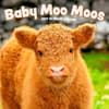 image Baby Moo Moos 2025 Wall Calendar Main Image