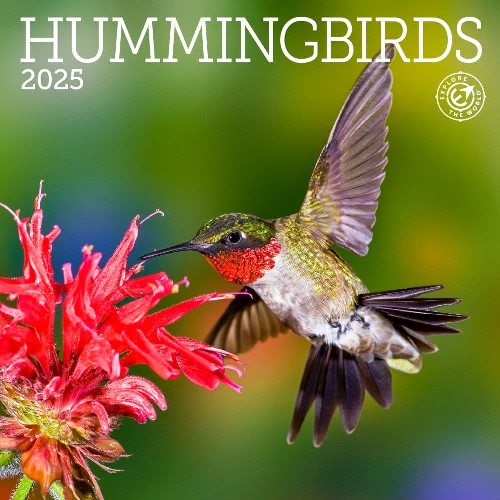 image Hummingbirds 2025 Mini Wall Calendar_Main Image