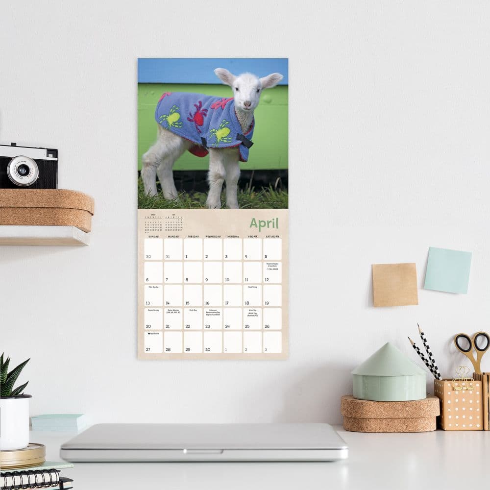 Lambies in Jammies 2025 Mini Wall Calendar Fourth Alternate Image width=&quot;1000&quot; height=&quot;1000&quot;