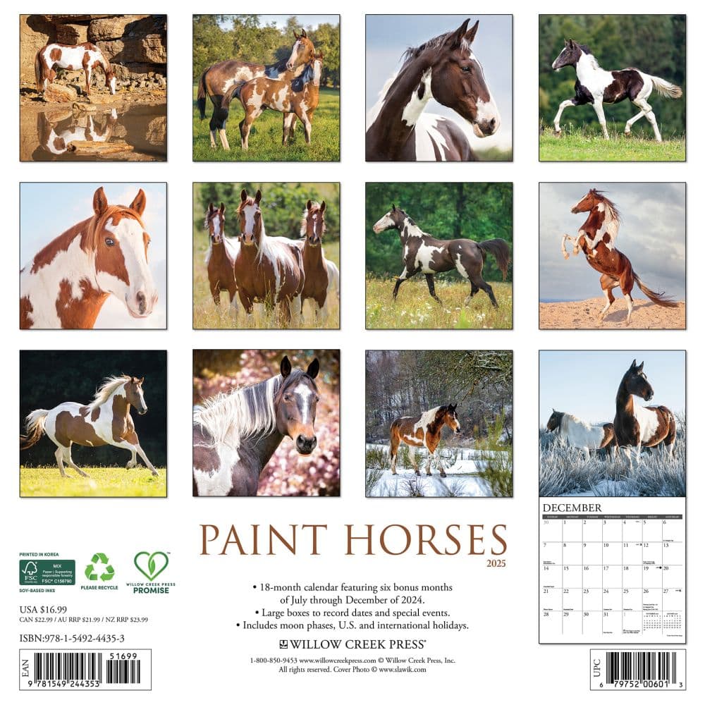 Horses Paint 2025 Wall Calendar First Alternate Image width=&quot;1000&quot; height=&quot;1000&quot;