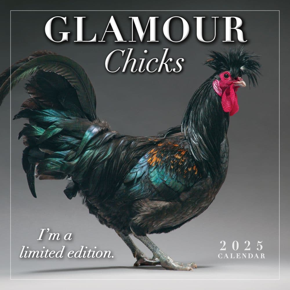 Glamour Chicks 2025 Mini Wall Calendar Main Product Image width=&quot;1000&quot; height=&quot;1000&quot;