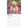 image Golden Retriever Puppies 2025 Mini Wall Calendar