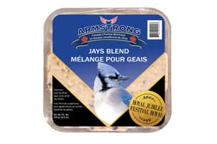 Thumbnail of the Armstrong® Jays Blend Suet 3Pack