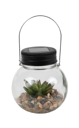 Thumbnail of the SOLAR SUCCULENT GLASS JAR ASSORTED