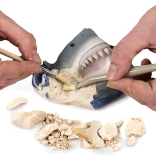 Thumbnail of the NATIONAL GEOGRAPHIC SHARK TOOTH DIG KIT