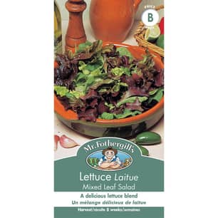Thumbnail of the LETTUCE MIXED LEAF SALAD