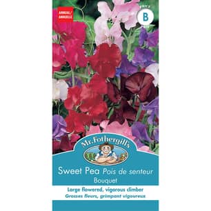 Thumbnail of the SWEET PEA BOUQUET