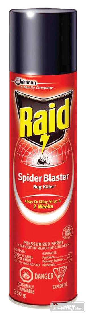 Thumbnail of the RAID SPIDER BLASTER