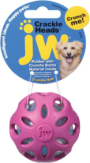Thumbnail of the JW Toys Crackle Head Dog Toy