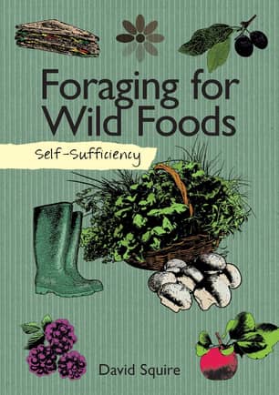 Thumbnail of the Foraging For Wild Foods Book