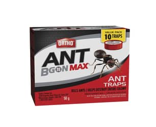 Thumbnail of the Ortho Ant B Gon Max Ant Traps