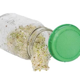 Thumbnail of the West Coast® Seeds Seed Sprouting Jar & Lid