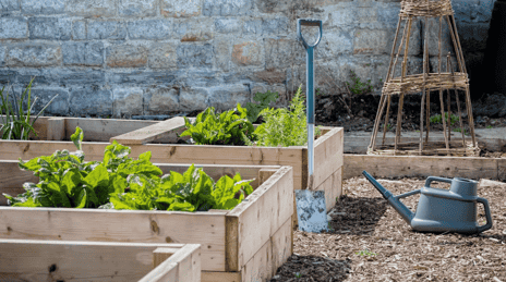 Read Article on Know How to Build Raised Garden Beds 