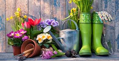 Read Article on Know How To Create Beautiful Spring Planters With Bulbs and Flowers 