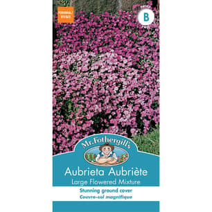 Thumbnail of the AUBRETIA LARGE FLOWERED MIXTURE