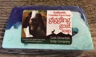 Thumbnail of the SOAP GIGGLING GOAT BERRY