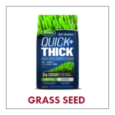 Shop all grass seed