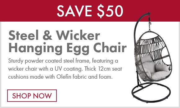 Steel & Wicker Hanging Egg Chair