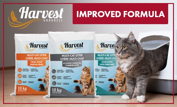 Shop our new and improved Harvest Goodness® Cat Litter.