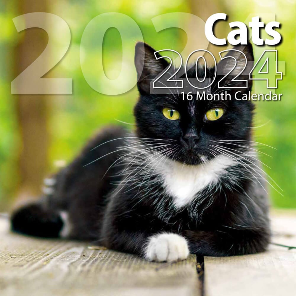 2024 Cats Themed 16 Month Wall Calendar, 12"