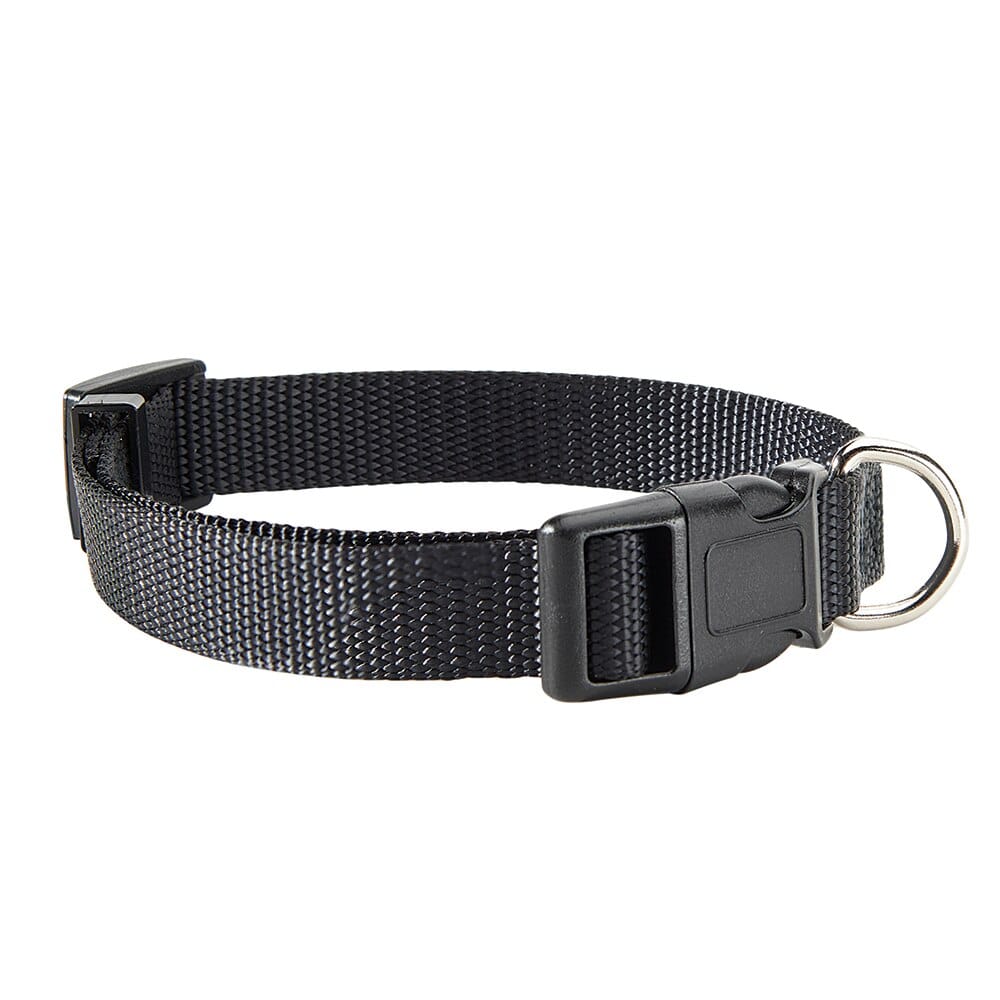 Pet Leader 5/8" Adjustable Pet Collar in Black