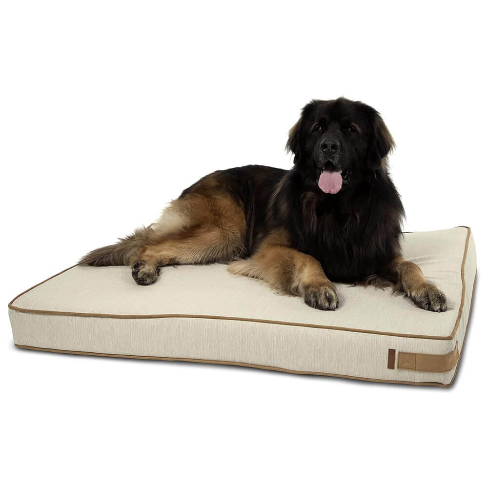 Bark & Slumber XL Foam Lounger Dog Bed, Luna Linen Cream