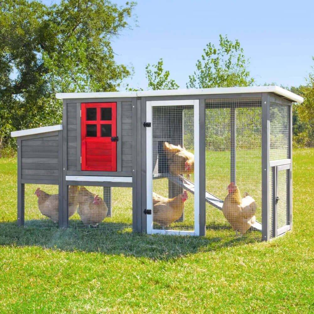 Precision Pet Red Door Hen House II for 4-5 Chickens