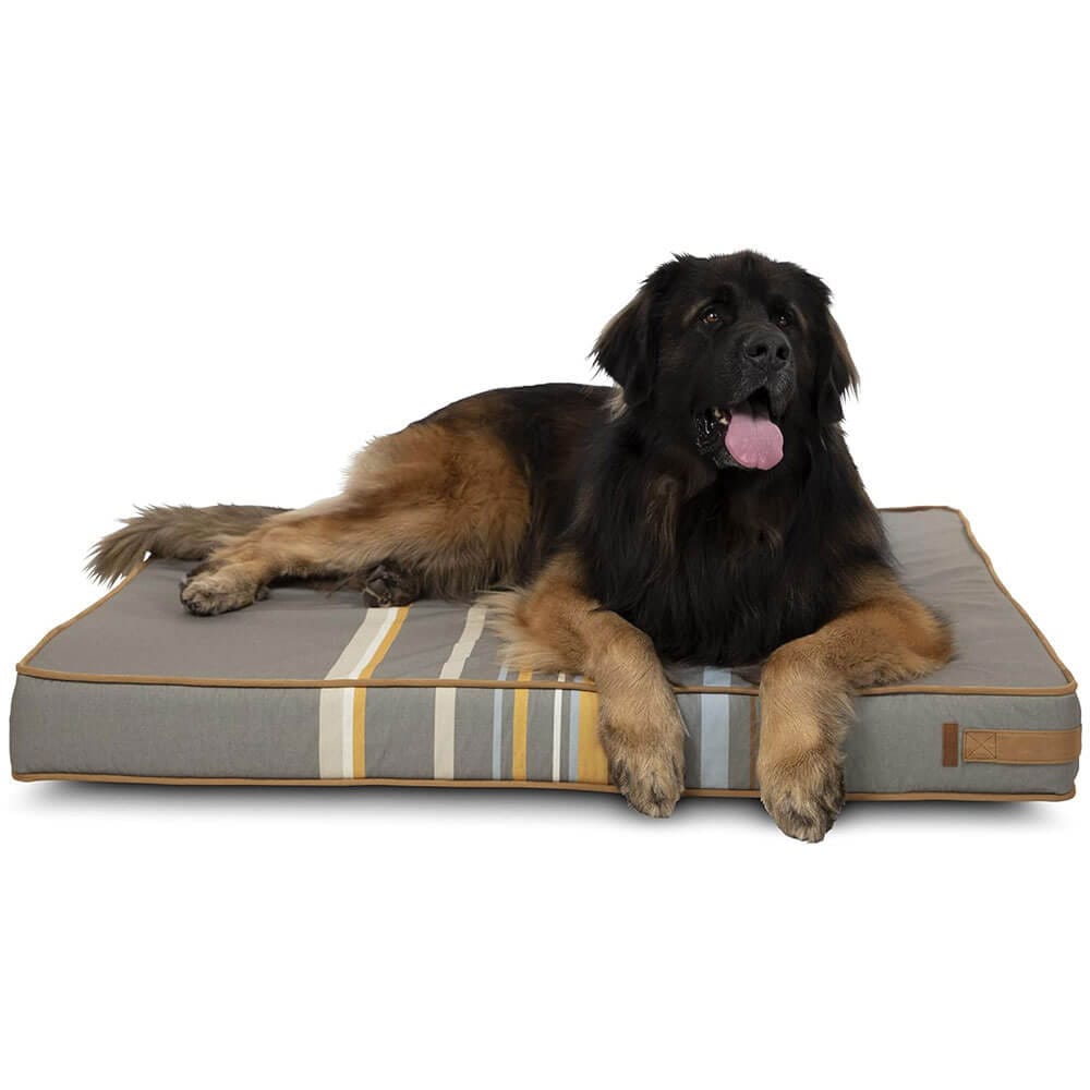 Bark & Slumber XL Foam Lounger Dog Bed, Gracie Gray