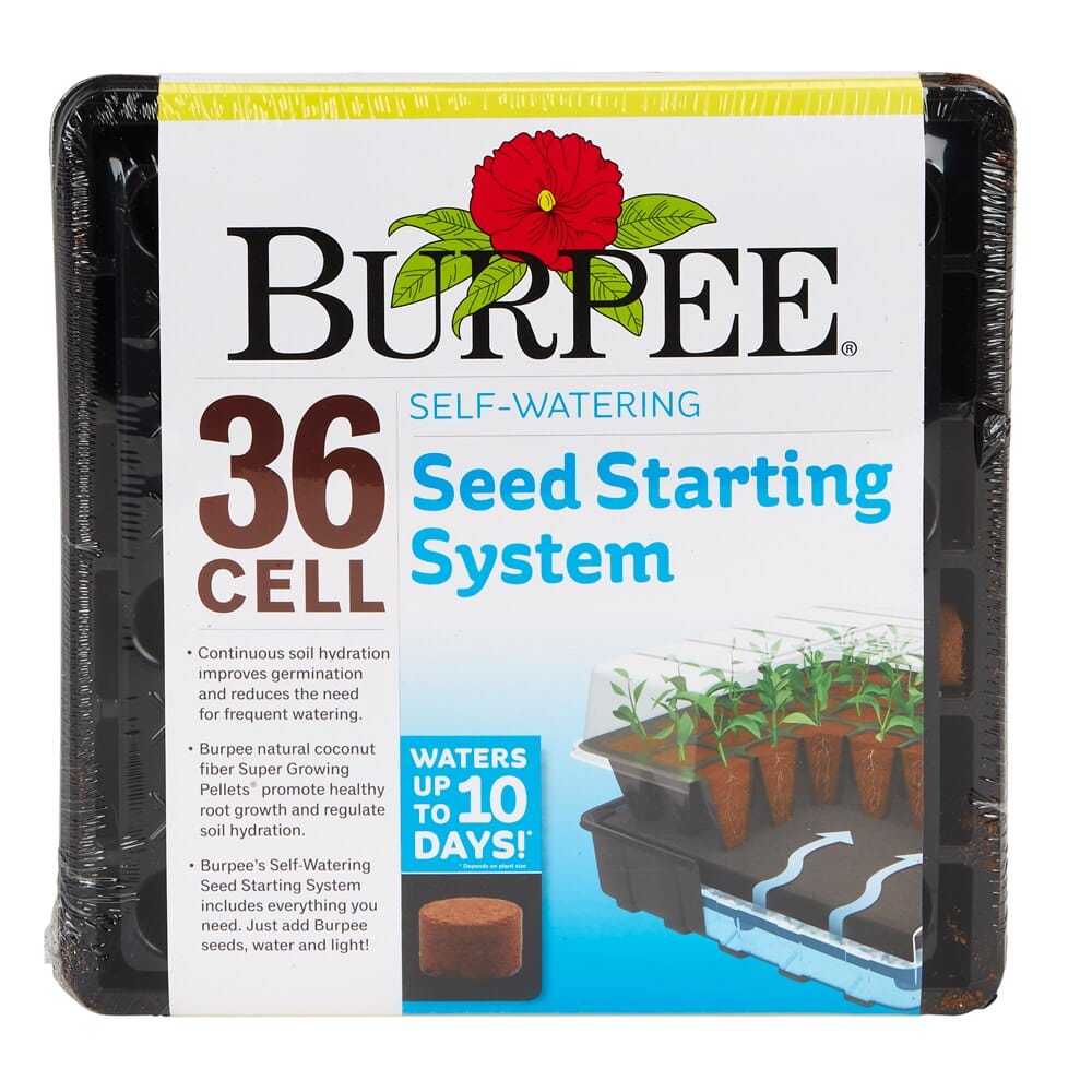Burpee Self-Watering Seed Starting System, 36-Cell