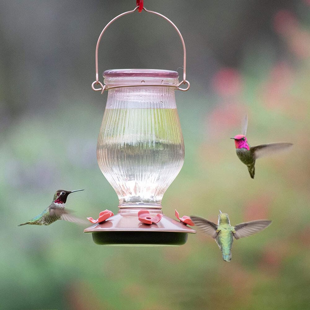 Perky Pet Top Fill Glass Hummingbird Feeder, 24 oz