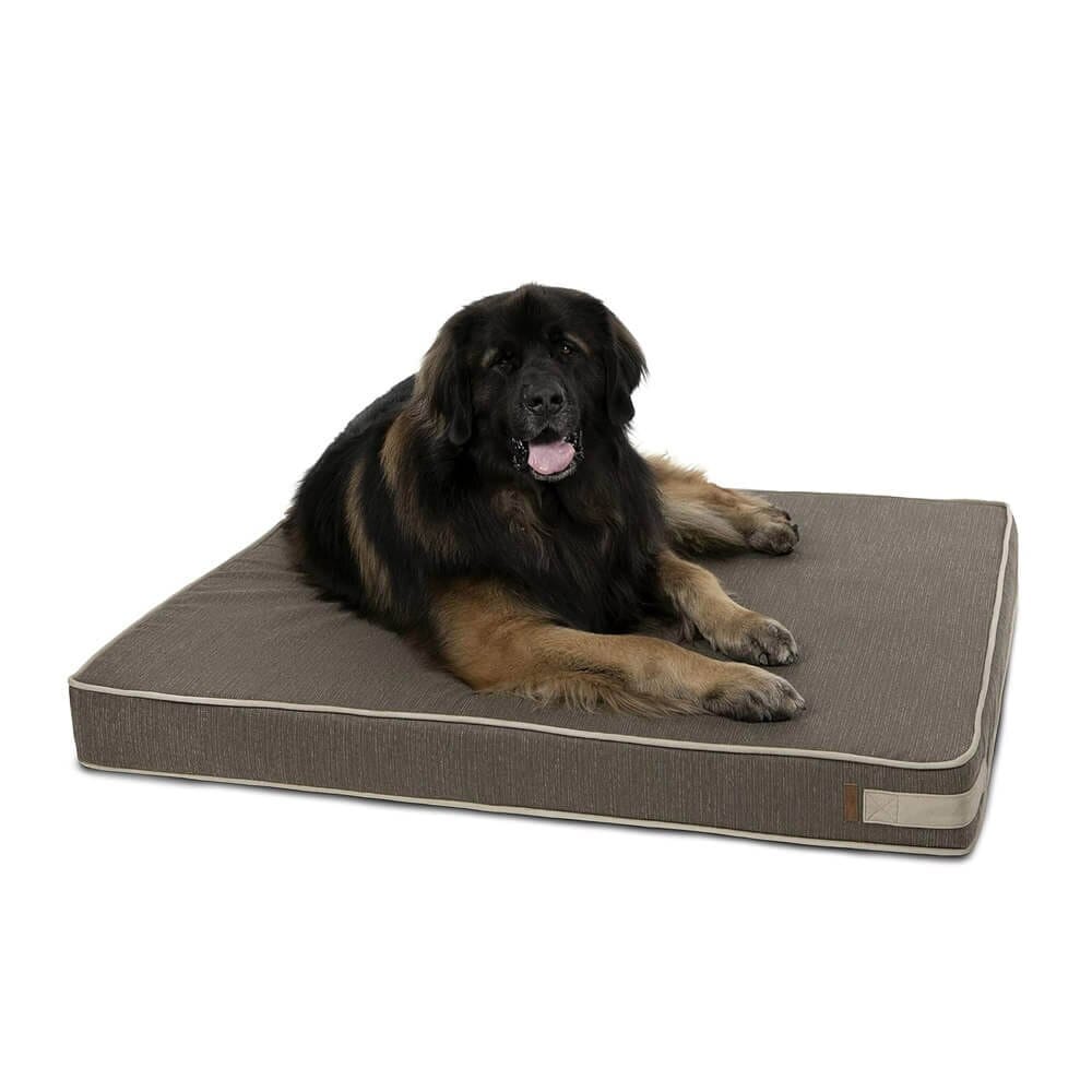 Bark & Slumber XL Foam Lounger Dog Bed, Bentley Brown