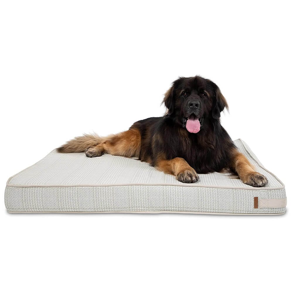 Bark & Slumber XL Foam Lounger Dog Bed, Houndstooth Plaid