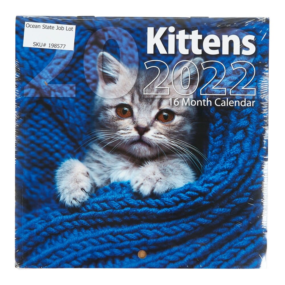 2022 Mini Kittens Themed 16-Month Wall Calendar, 6" x 6"