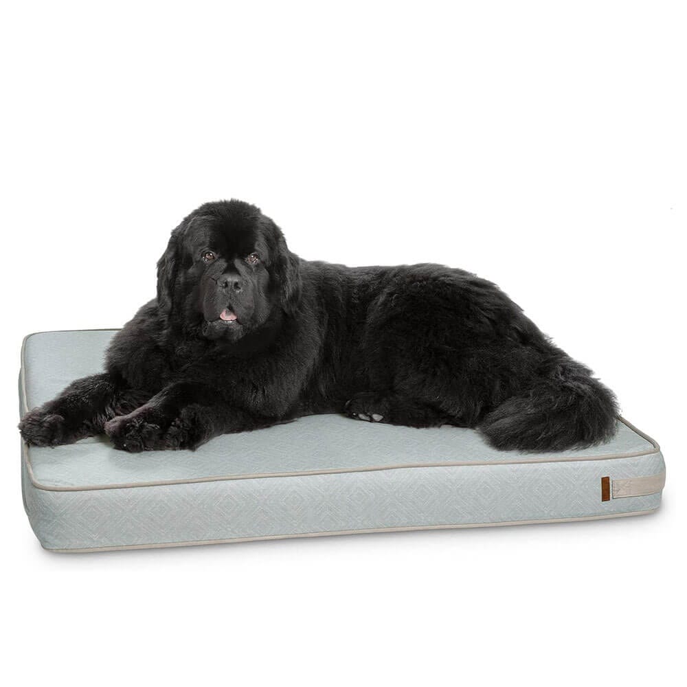 Bark & Slumber XL Foam Lounger Dog Bed, Birdie Blue