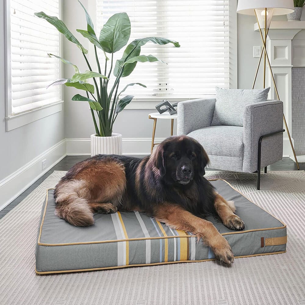Bark & Slumber XL Foam Lounger Dog Bed, Gracie Gray