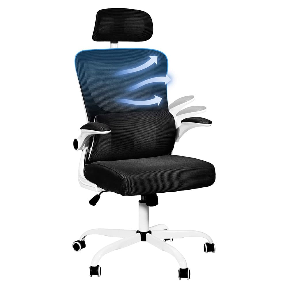 DualThunder Ergonomic Office Chair with Lumbar Support, Black/White