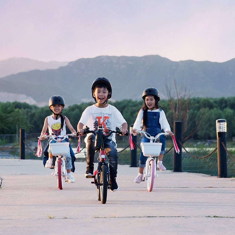 Segway Ninebot 14" Kids' Bike with Training Wheels & Kickstand, Pink