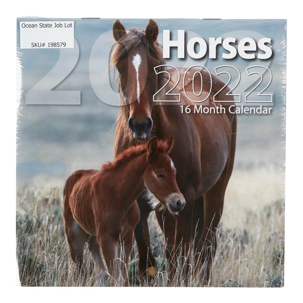 2022 Horses Themed 16-Month Wall Calendar, 6" x 6"
