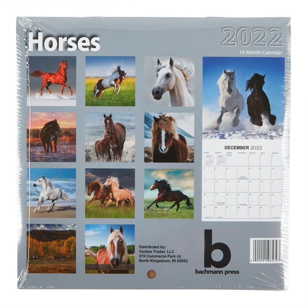 2022 Horses Themed 16-Month Wall Calendar, 6" x 6"