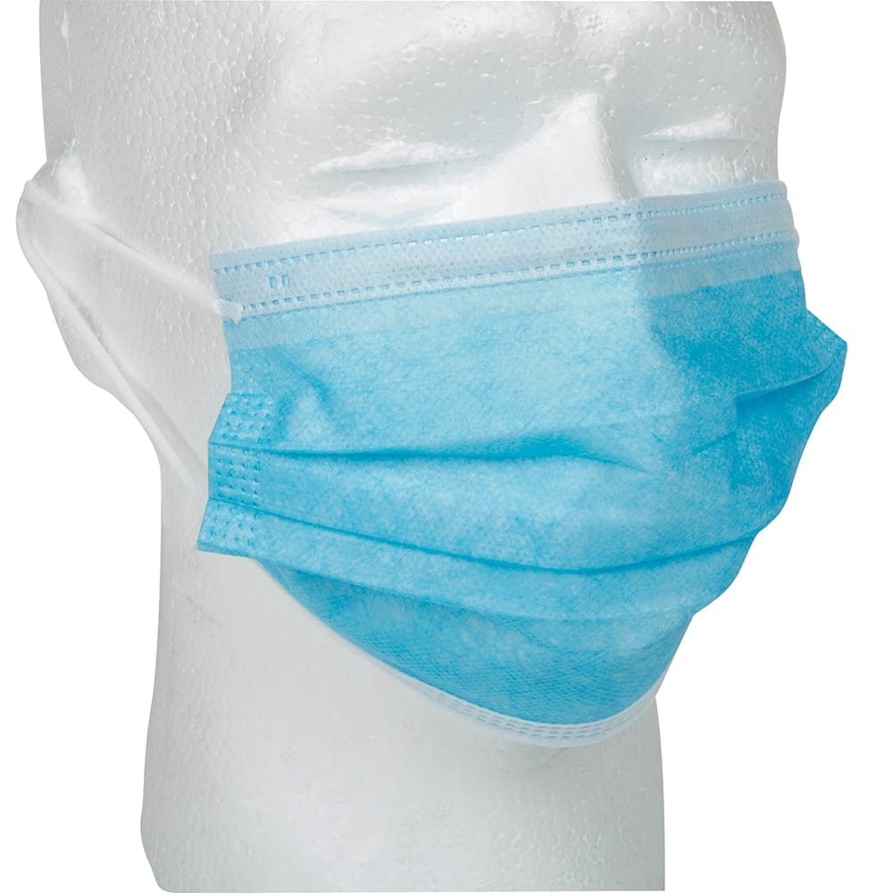 Disposable 3-Ply Earloop Face Mask, 10 Pack