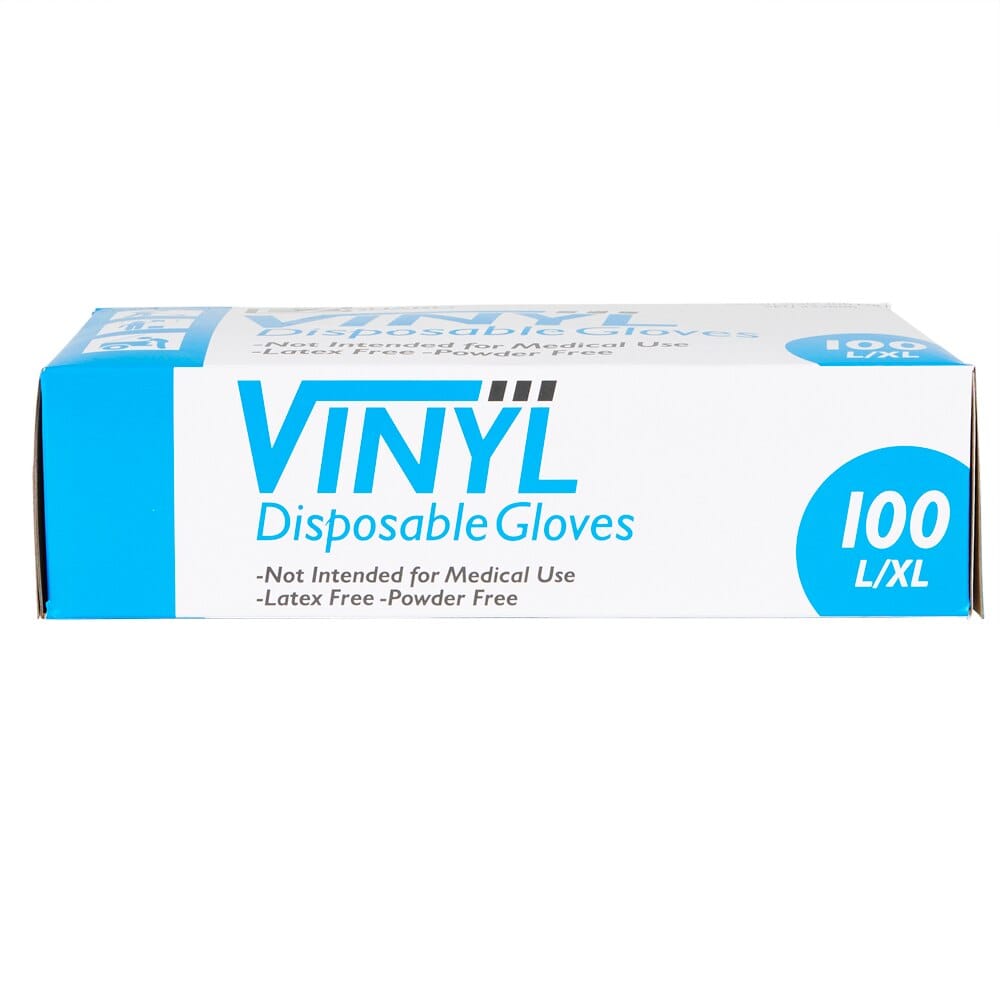 Vinyl Disposable Gloves, Latex and Powder Free, 100-count, Large