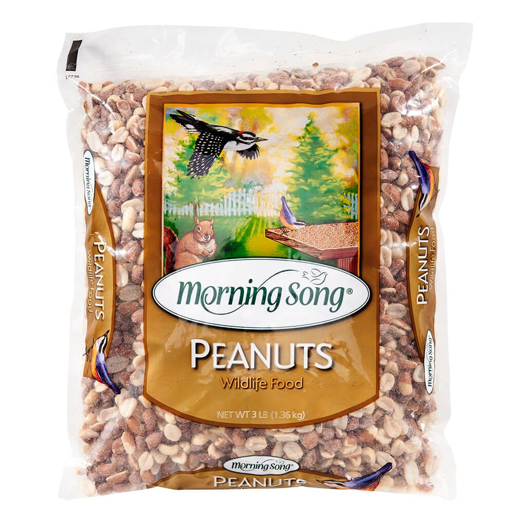 Morning Song Wildlife Food Peanuts, 3 lbs
