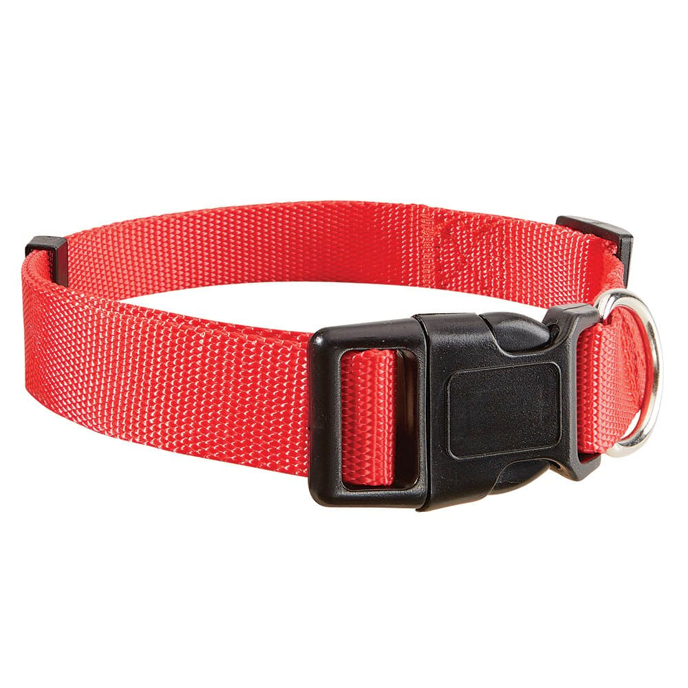 Pet Leader 1" Adjustable Pet Collar, Red