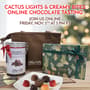 Holiday Cactus Garden Lighting Tasting Kit
