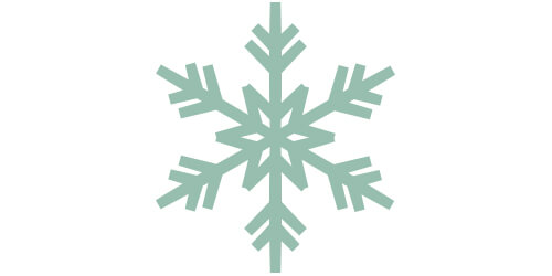 snowflake icon