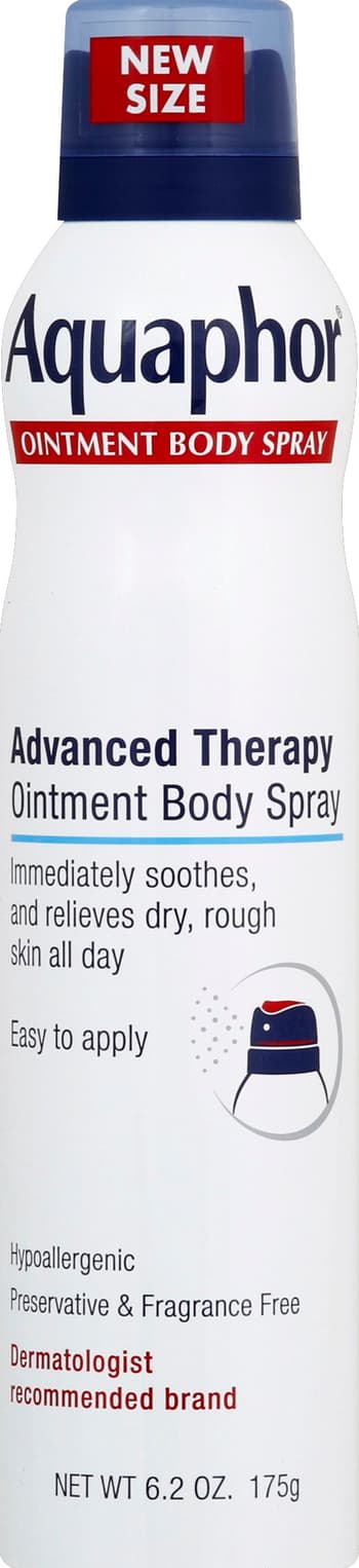 Basenji Doberman Mix Basenji Mix Rescue Sales