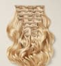 Light Blonde (22) Wefts 10 Pc Set